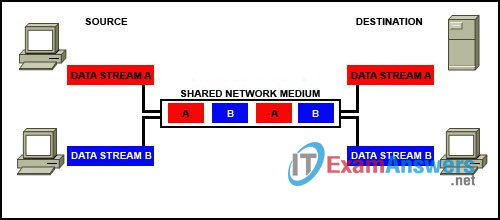 CCNA Exploration 1: ENetwork Chapter 2 Exam Answers (v4.0) 3