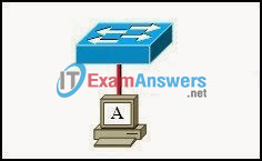 CCNA Exploration 1: ENetwork Chapter 9 Exam Answers (v4.0) 3