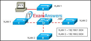 CCNA Exploration 3: ESwitching Final Exam Answers (v4.0) 44