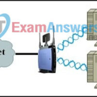 CCNA Discovery 1: DHomeSB Chapter 5 Exam Answers v4.0 41