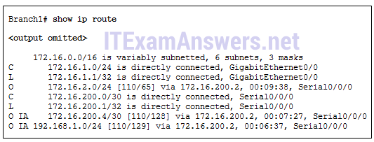 CCNA 3 (v5.0.3 + v6.0) Chapter 9 Exam Answers 2020 - 100% Full 1