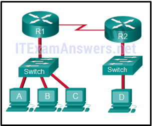 CCNA 1 v7.0 Final Exam Answers Full - Introduction to Networks 24