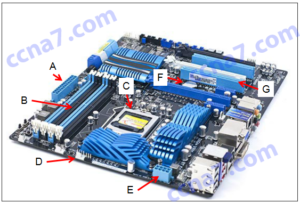 INSTC_V7 Reliable Test Voucher