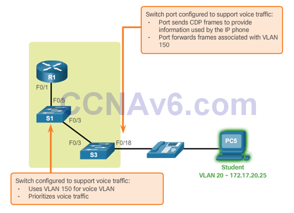 CCNA 2 v6.0 Study Material – Chapter 6: VLANs 58