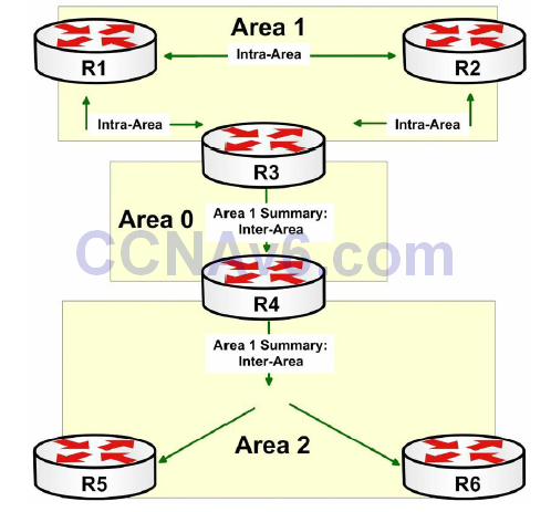 Section 12 – OSPF Basics 3