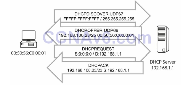 Section 14 – DHCP and DNS 12