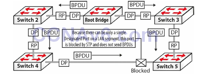 Section 31 – Spanning Tree Protocol 23