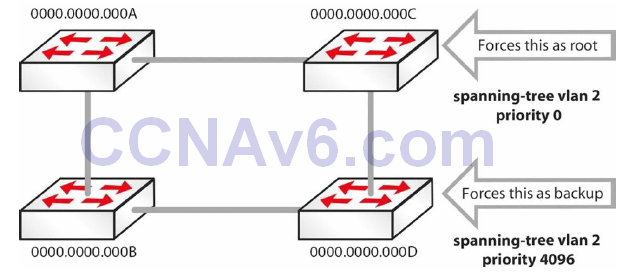 Section 31 – Spanning Tree Protocol 27