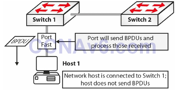 Section 31 – Spanning Tree Protocol 32