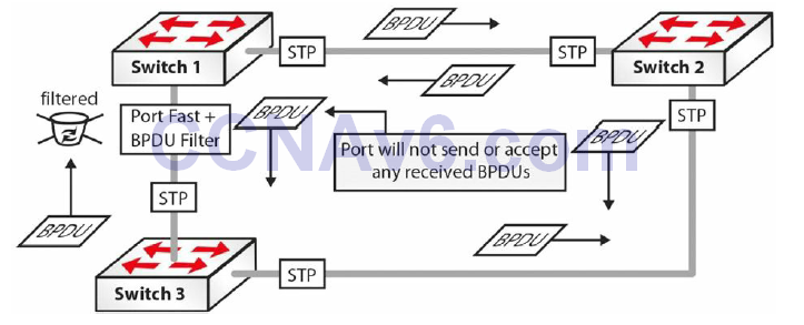 Section 31 – Spanning Tree Protocol 35
