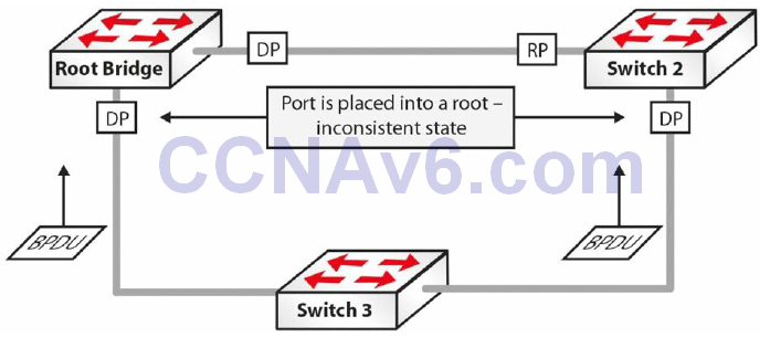 Section 31 – Spanning Tree Protocol 37