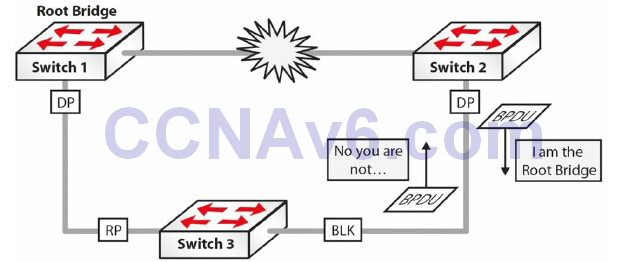 Section 31 – Spanning Tree Protocol 40