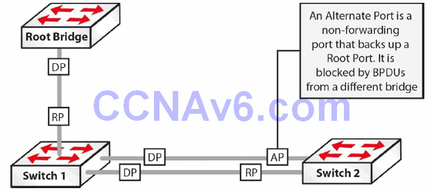 Section 32 – Rapid Spanning Tree Protocol 6