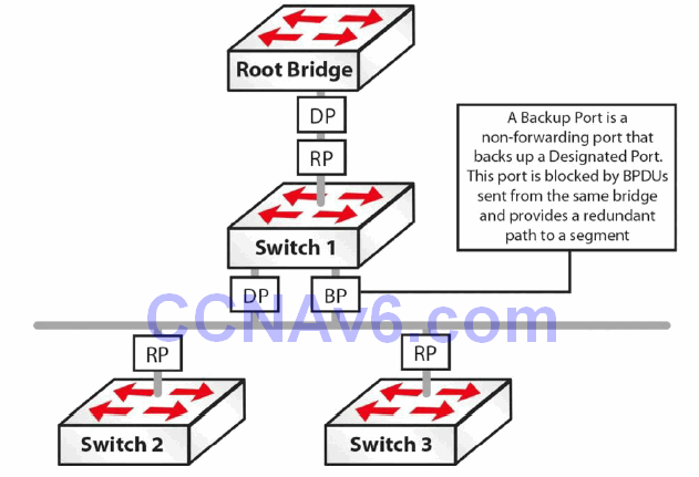 Section 32 – Rapid Spanning Tree Protocol 7
