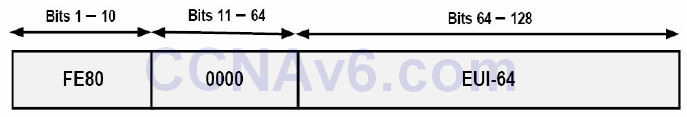 Section 7 – IPv6 48