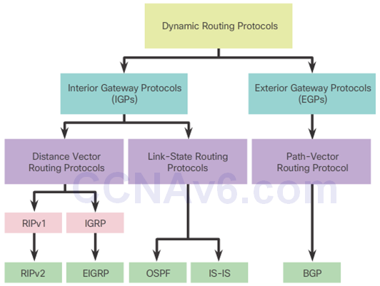 CCNA 3 v6.0 Study Material – Chapter 5: Dynamic Routing 5