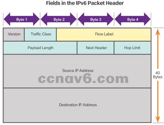 CCNA 1 v6.0 Study Material - Chapter 6: Network Layer 17