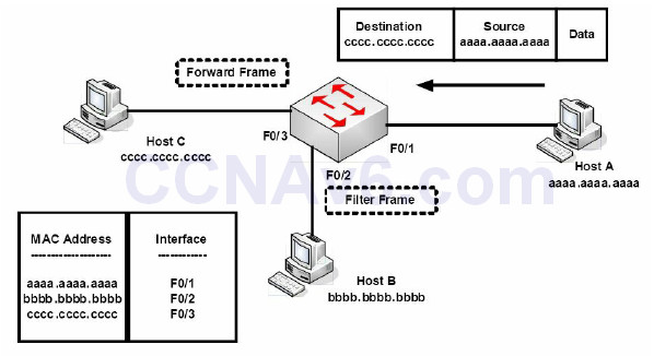 Section 2 – CSMA/CD, Switching, and VLANs 31