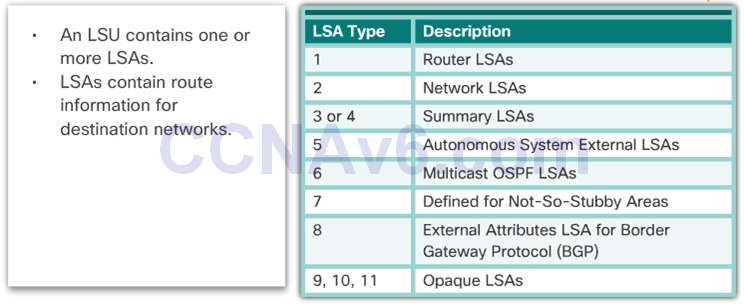 CCNA 3 v6.0 Study Material – Chapter 8: Single-Area OSPF 16