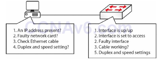 Section 2 – CSMA/CD, Switching, and VLANs 48