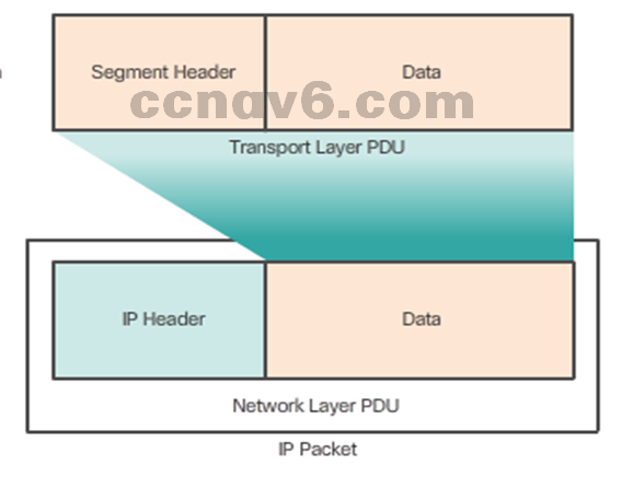 CCNA 1 v6.0 Study Material - Chapter 6: Network Layer 15