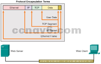 CCNA 1 v6.0 Study Material - Chapter 3: Network Protocols and Communications 13