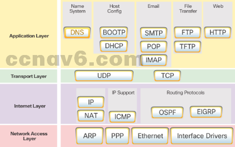 CCNA 1 v6.0 Study Material - Chapter 3: Network Protocols and Communications 10