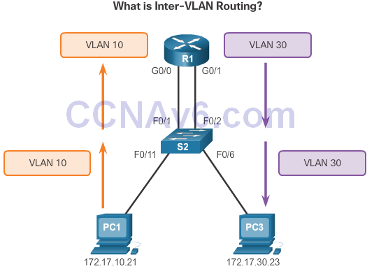 CCNA 2 v6.0 Study Material – Chapter 6: VLANs 96