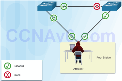 CCNA Security 2.0 Study Material – Chapter 6: Securing the Local Area Network 159
