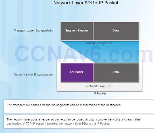 Introduction to Networks 6.0 Instructor Materials – Chapter 6: Network Layer 62