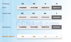 Introduction to Networks 6.0 Instructor Materials – Chapter 7: IP ...