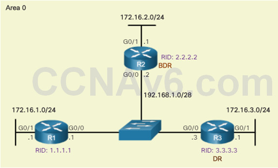 Scaling Networks v6.0 Instructor Materials – Chapter 10: OSPF Tuning and Troubleshooting 55