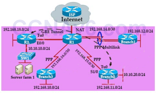 CCNA 200-125 Exam: GRE Multilink Sim With Answers 5