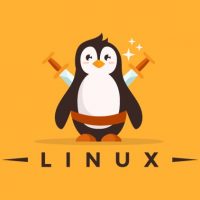 Introduction to Linux 2 Exam Answers - Test Online & Labs Active 7