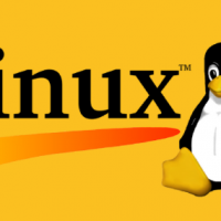 Introduction to Linux 1 Exam Answers - Test Online & Labs Active 10