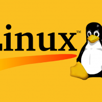 Introduction to Linux II – Chapter 13 Exam Test Online 2019 9