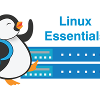 Linux Essentials – Chapter 13 Exam Answers 2019 + PDF file 4