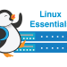 Linux Essentials – Chapter 11 Exam Answers 2019 + PDF file 4