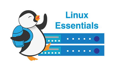 Linux Essentials Chapter 06 Exam Answers 19 Pdf File