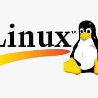 Introduction to Linux I – Chapter 23 Exam Test Online 2019 5