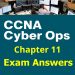 CCNA Cyber Ops (Version 1.1) - Chapter 11 Exam Answers Full 3