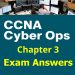 CCNA Cyber Ops (Version 1.1) - Chapter 3 Exam Answers Full 3