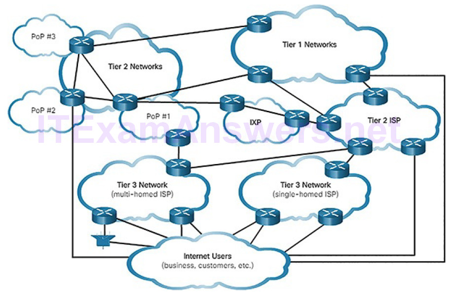CCNA Cyber Ops (Version 1.1) – Chapter 4: Network Protocols and Services 145