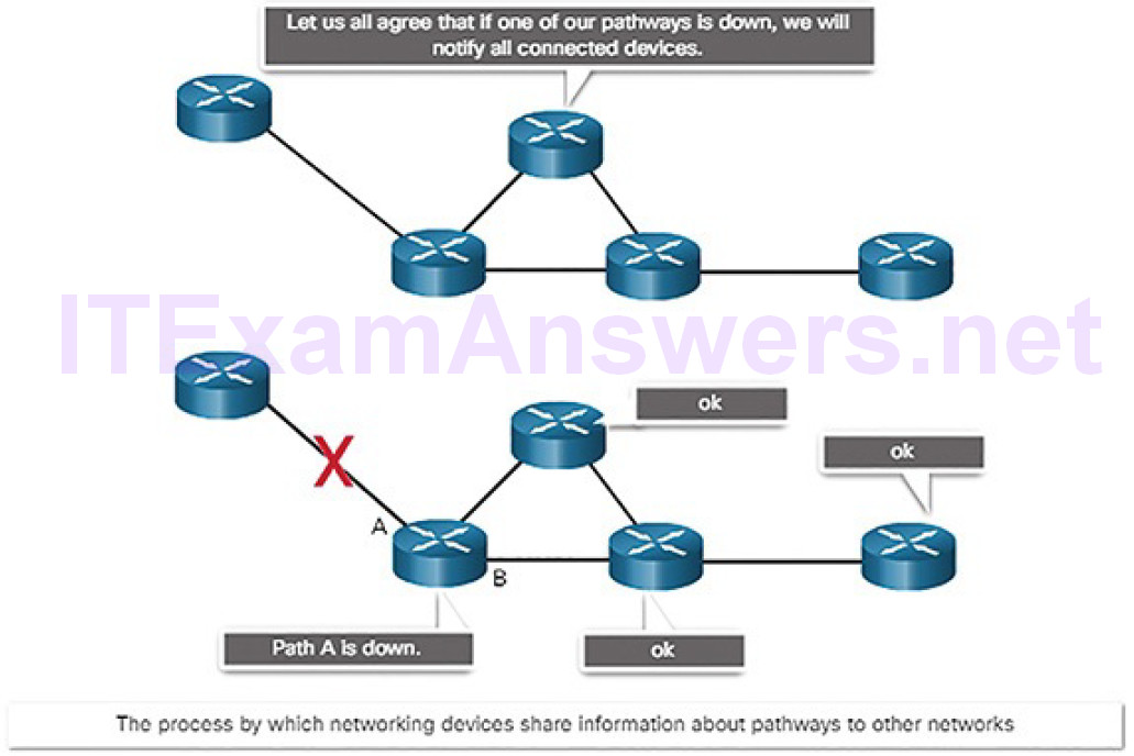 CCNA Cyber Ops (Version 1.1) – Chapter 4: Network Protocols and Services 148