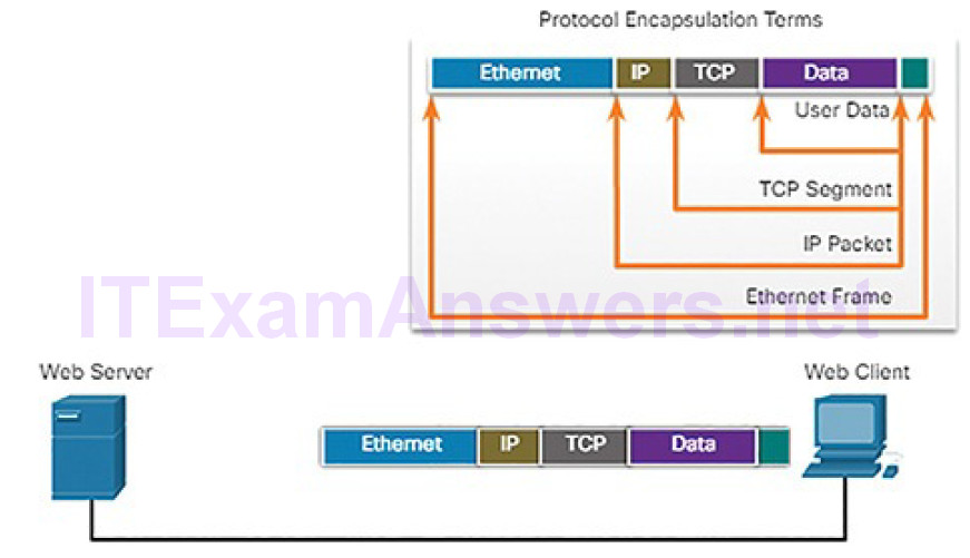 CCNA Cyber Ops (Version 1.1) – Chapter 4: Network Protocols and Services 167