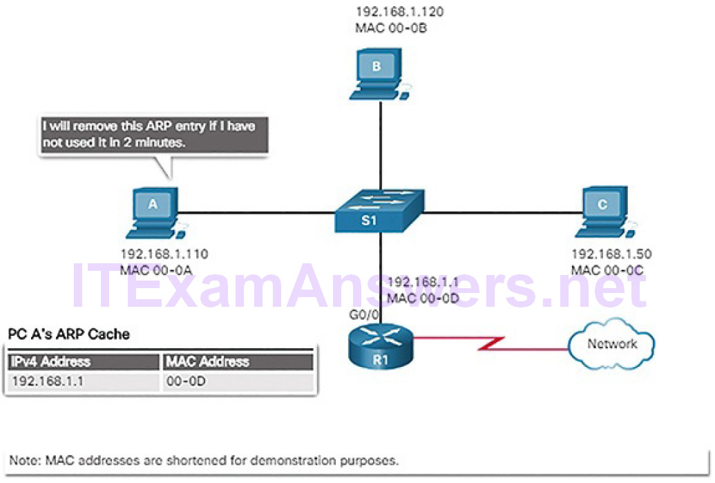 CCNA Cyber Ops (Version 1.1) – Chapter 4: Network Protocols and Services 227
