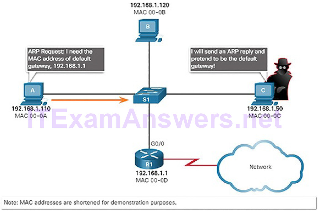 CCNA Cyber Ops (Version 1.1) – Chapter 4: Network Protocols and Services 229