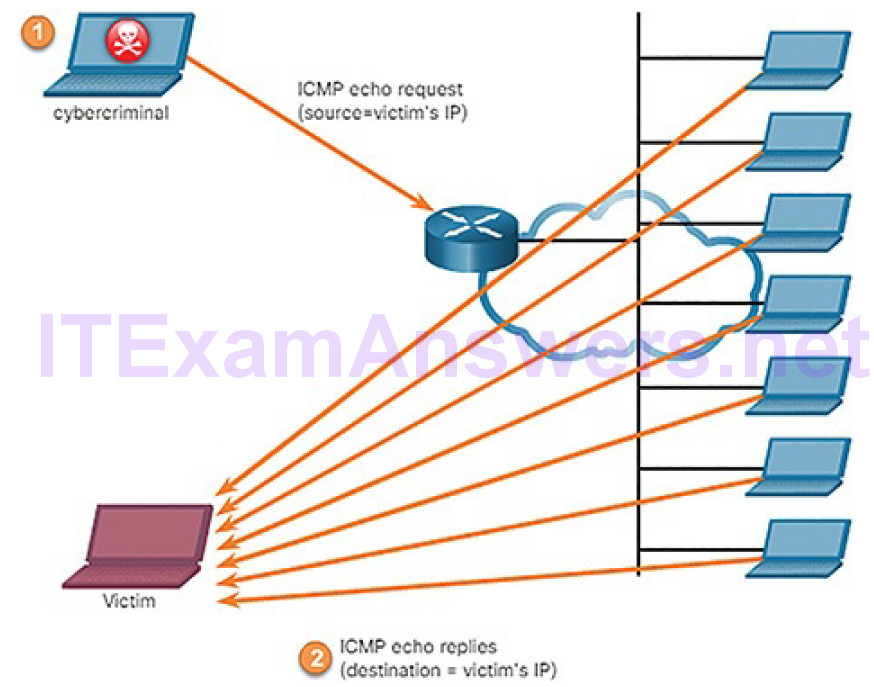 CCNA Cyber Ops (Version 1.1) – Chapter 7: Network Attacks: A Deeper Look 38