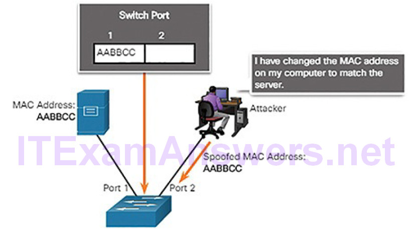 CCNA Cyber Ops (Version 1.1) – Chapter 7: Network Attacks: A Deeper Look 40