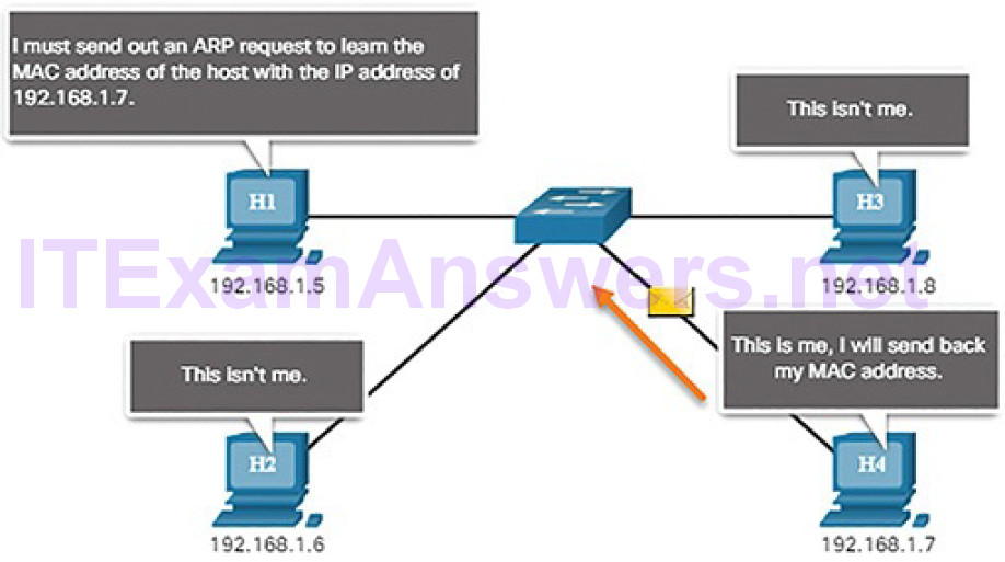 CCNA Cyber Ops (Version 1.1) – Chapter 7: Network Attacks: A Deeper Look 48